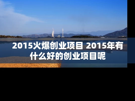 2015火爆创业项目 2015年有什么好的创业项目呢