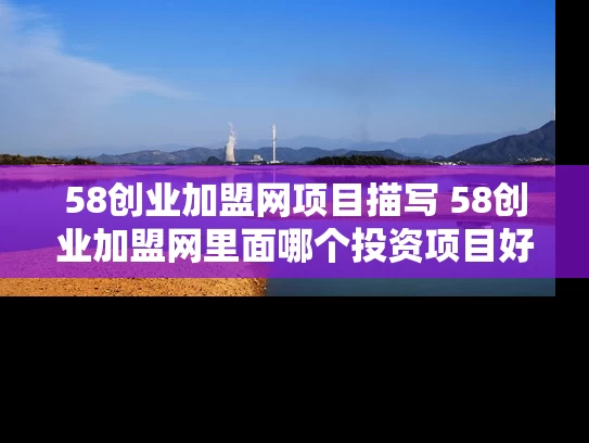 58创业加盟网项目描写 58创业加盟网里面哪个投资项目好