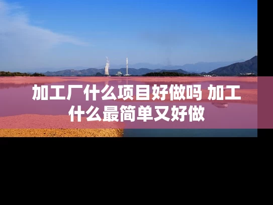 加工厂什么项目好做吗 加工什么最简单又好做