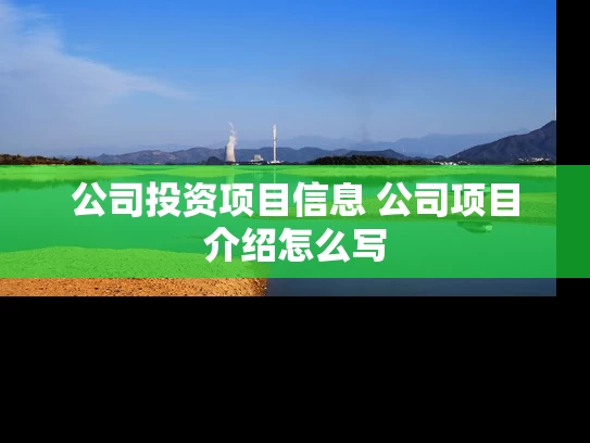 公司投资项目信息 公司项目介绍怎么写