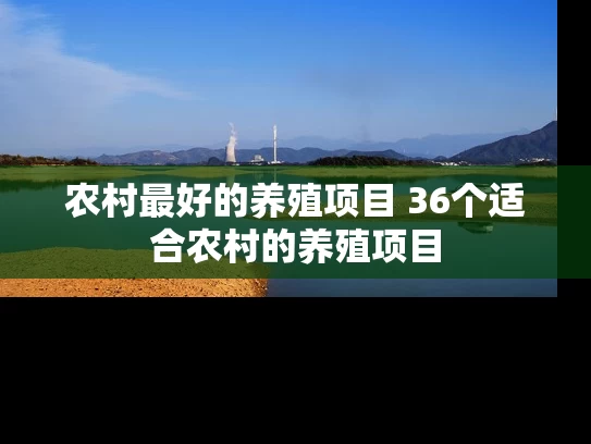 农村最好的养殖项目 36个适合农村的养殖项目