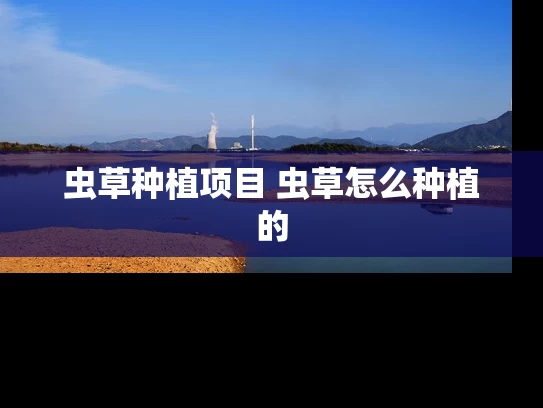 虫草种植项目 虫草怎么种植的