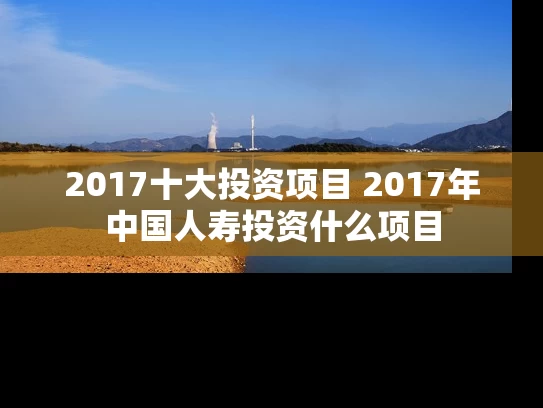 2017十大投资项目 2017年中国人寿投资什么项目