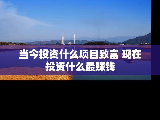 当今投资什么项目致富 现在投资什么最赚钱