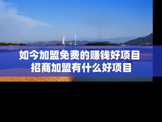 如今加盟免费的赚钱好项目 招商加盟有什么好项目