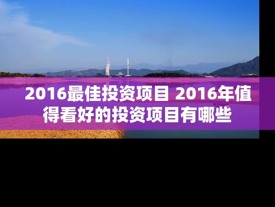2016最佳投资项目 2016年值得看好的投资项目有哪些