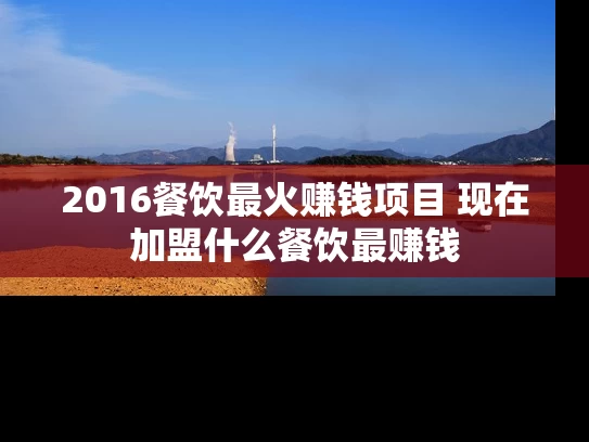 2016餐饮最火赚钱项目 现在加盟什么餐饮最赚钱