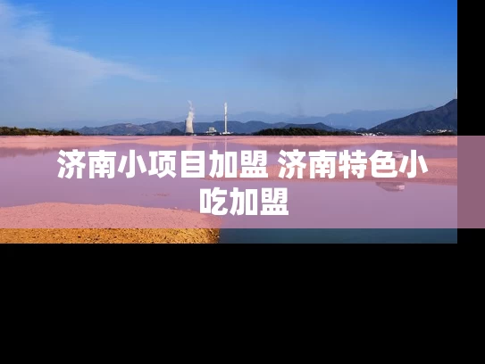 济南小项目加盟 济南特色小吃加盟