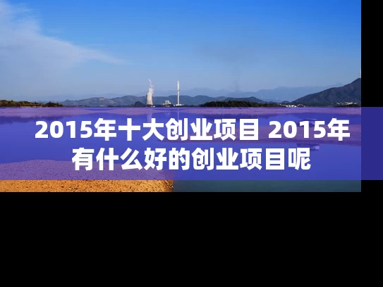 2015年十大创业项目 2015年有什么好的创业项目呢