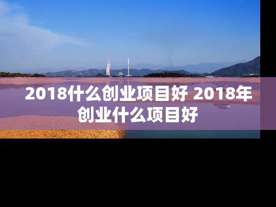 2018什么创业项目好 2018年创业什么项目好