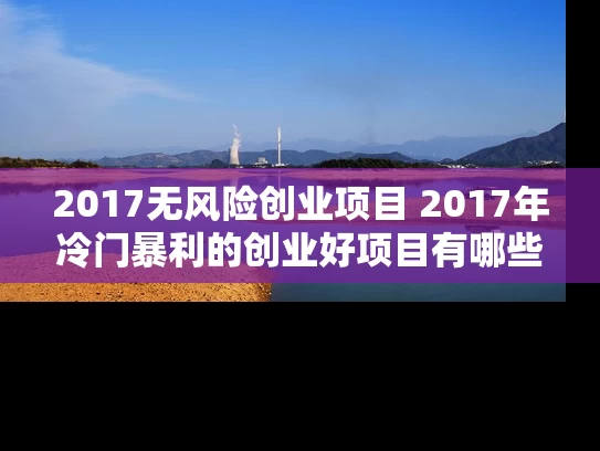 2017无风险创业项目 2017年冷门暴利的创业好项目有哪些