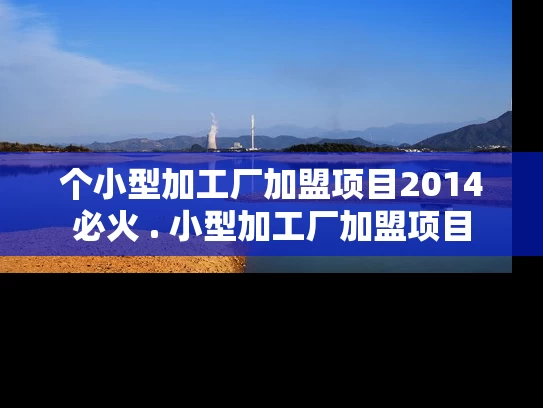 个小型加工厂加盟项目2014必火 . 小型加工厂加盟项目