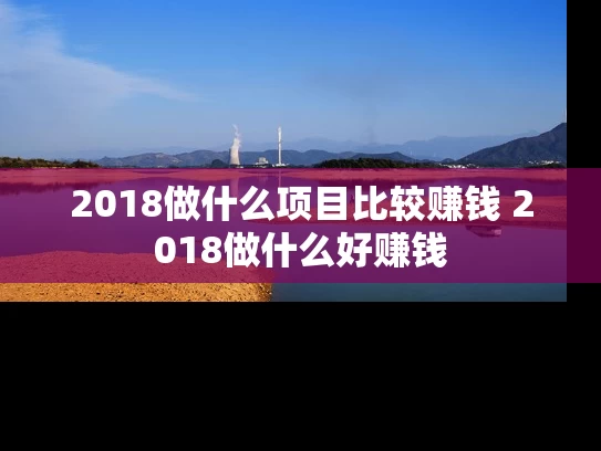 2018做什么项目比较赚钱 2018做什么好赚钱