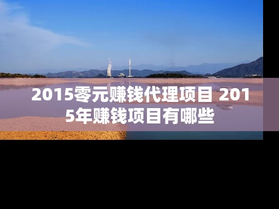 2015零元赚钱代理项目 2015年赚钱项目有哪些