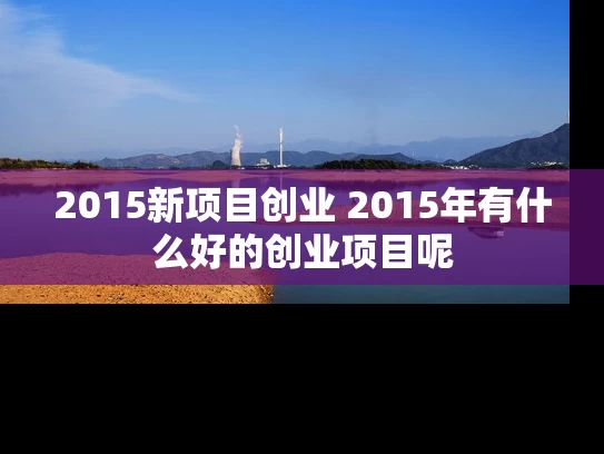 2015新项目创业 2015年有什么好的创业项目呢