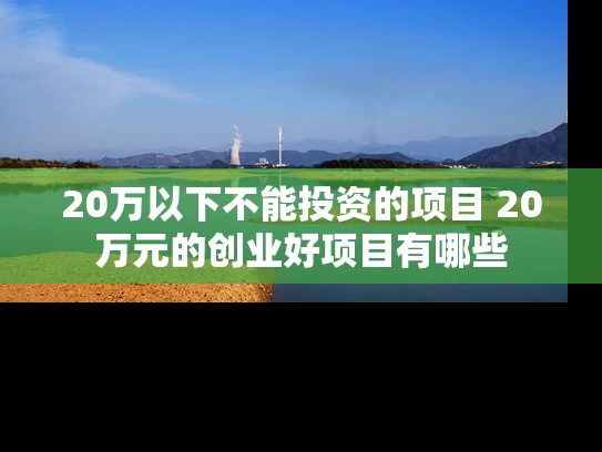 20万以下不能投资的项目 20万元的创业好项目有哪些