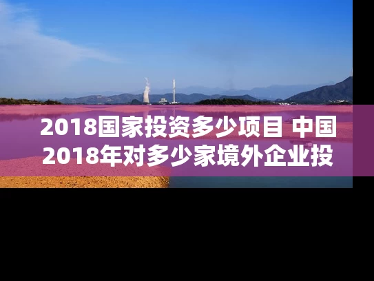2018国家投资多少项目 中国2018年对多少家境外企业投资