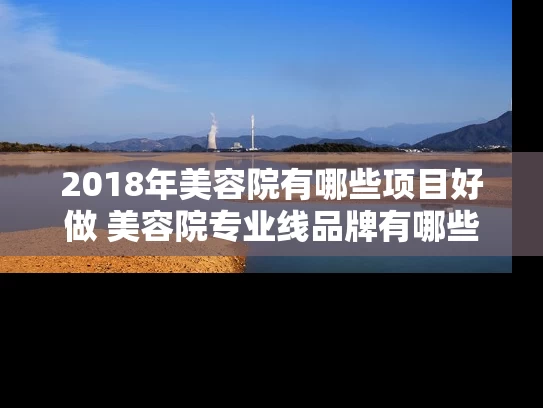 2018年美容院有哪些项目好做 美容院专业线品牌有哪些