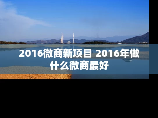 2016微商新项目 2016年做什么微商最好