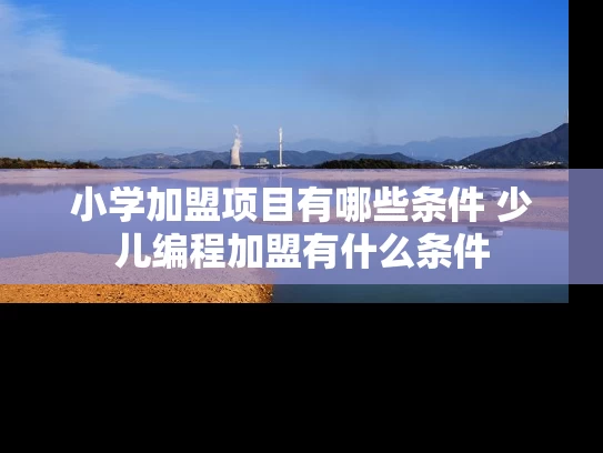 小学加盟项目有哪些条件 少儿编程加盟有什么条件