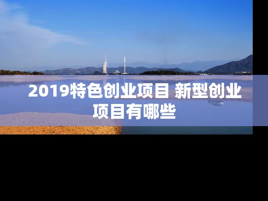 2019特色创业项目 新型创业项目有哪些