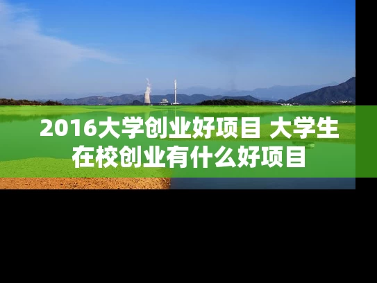 2016大学创业好项目 大学生在校创业有什么好项目