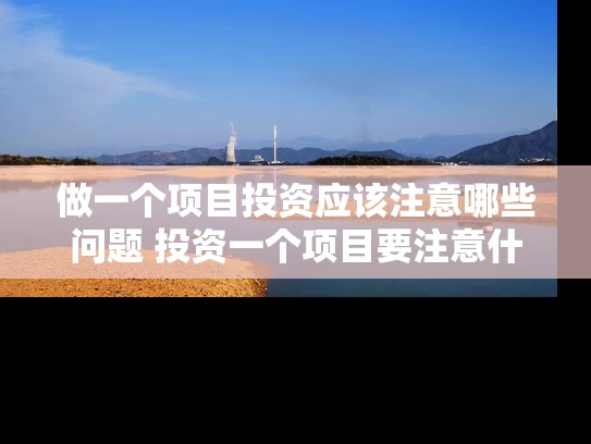 做一个项目投资应该注意哪些问题 投资一个项目要注意什么