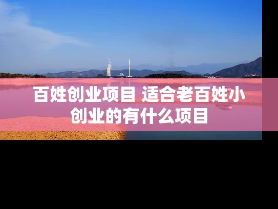 百姓创业项目 适合老百姓小创业的有什么项目
