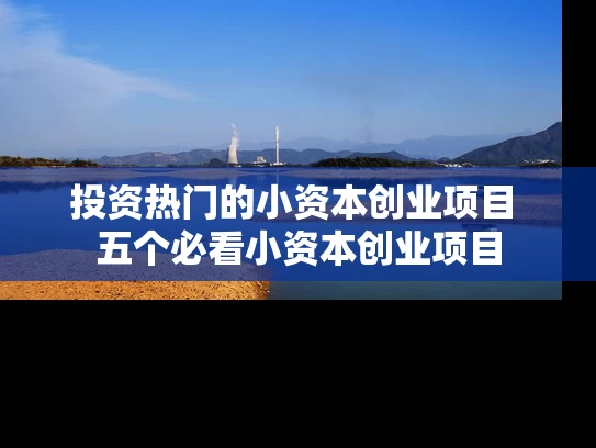 投资热门的小资本创业项目 五个必看小资本创业项目