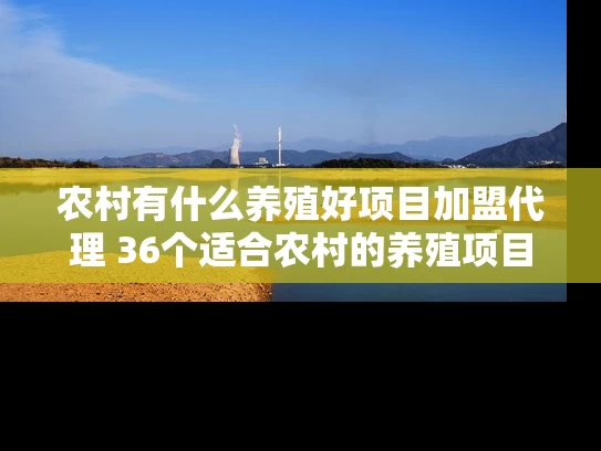农村有什么养殖好项目加盟代理 36个适合农村的养殖项目