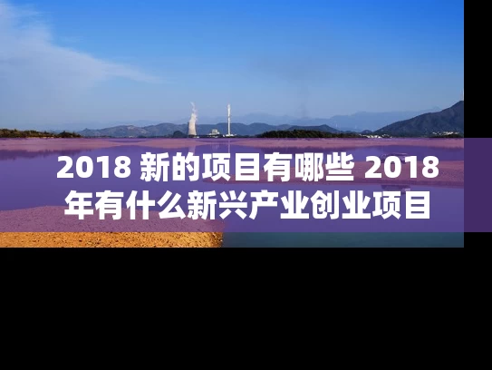 2018 新的项目有哪些 2018年有什么新兴产业创业项目