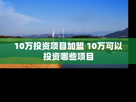10万投资项目加盟 10万可以投资哪些项目