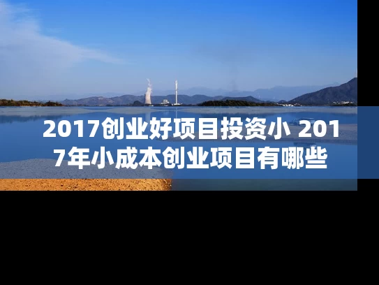 2017创业好项目投资小 2017年小成本创业项目有哪些