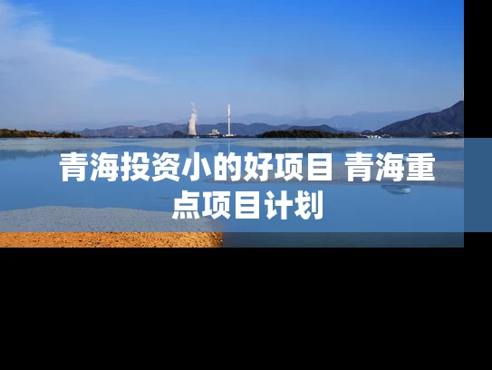 青海投资小的好项目 青海重点项目计划