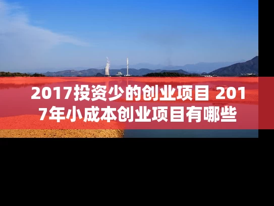 2017投资少的创业项目 2017年小成本创业项目有哪些