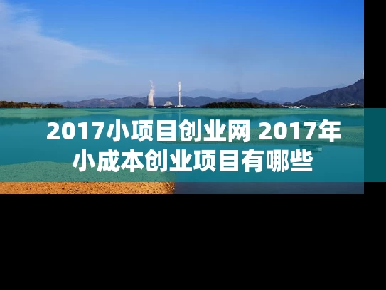 2017小项目创业网 2017年小成本创业项目有哪些