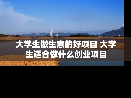 大学生做生意的好项目 大学生适合做什么创业项目