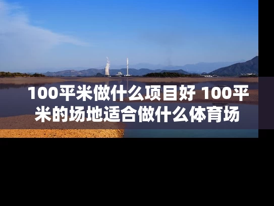 100平米做什么项目好 100平米的场地适合做什么体育场