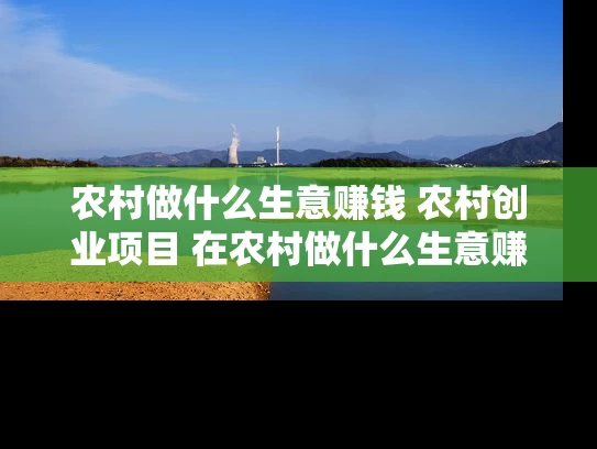 农村做什么生意赚钱 农村创业项目 在农村做什么生意赚钱