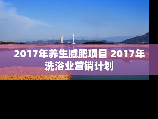 2017年养生减肥项目 2017年洗浴业营销计划