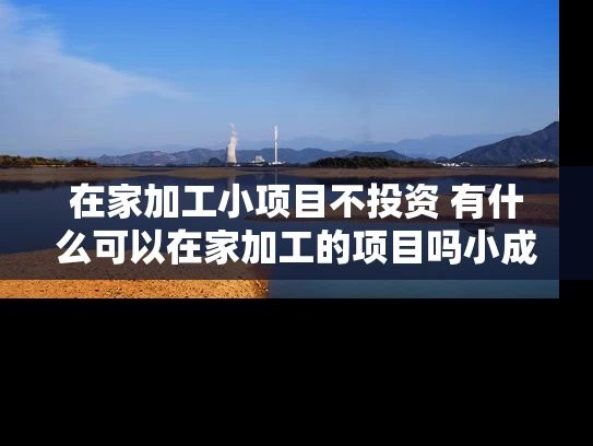 在家加工小项目不投资 有什么可以在家加工的项目吗小成本投资的