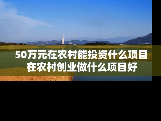 50万元在农村能投资什么项目 在农村创业做什么项目好