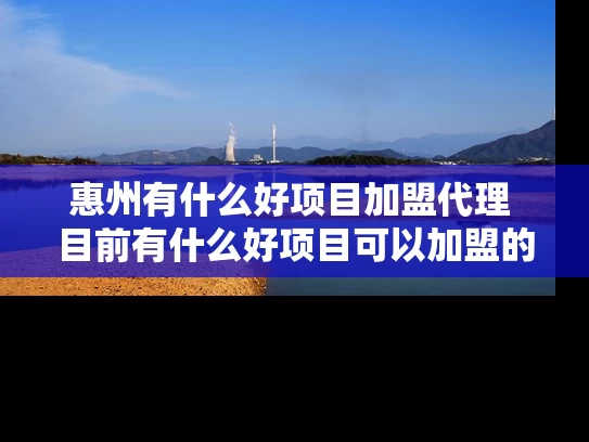 惠州有什么好项目加盟代理 目前有什么好项目可以加盟的 