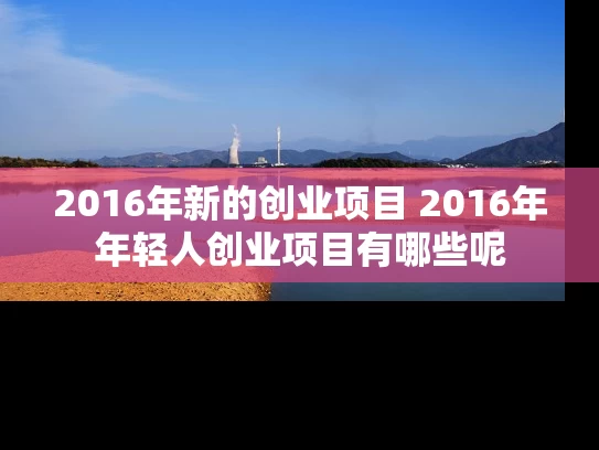 2016年新的创业项目 2016年年轻人创业项目有哪些呢