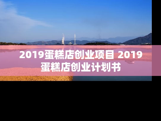 2019蛋糕店创业项目 2019蛋糕店创业计划书