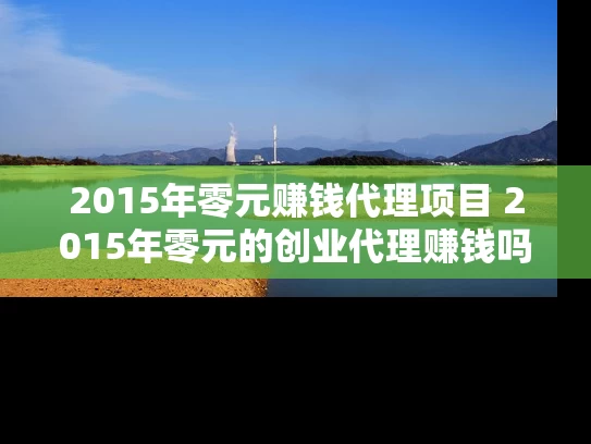 2015年零元赚钱代理项目 2015年零元的创业代理赚钱吗