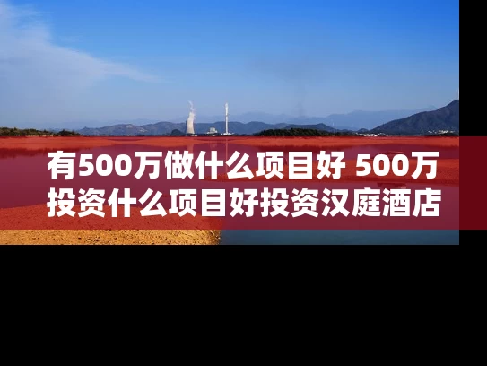 有500万做什么项目好 500万投资什么项目好投资汉庭酒店赚钱吗