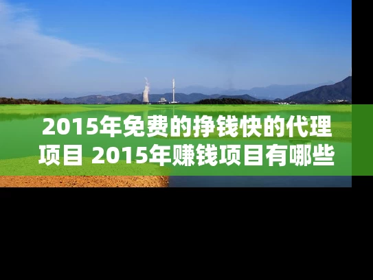 2015年免费的挣钱快的代理项目 2015年赚钱项目有哪些