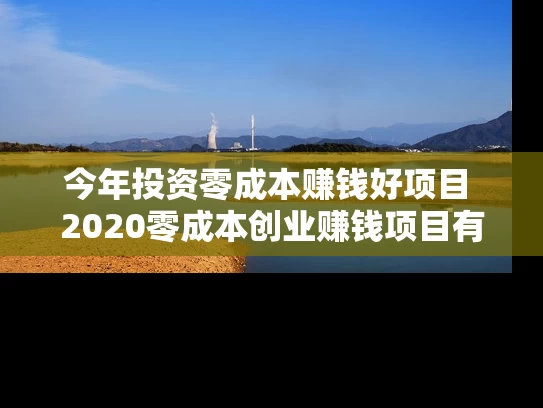 今年投资零成本赚钱好项目 2020零成本创业赚钱项目有哪些