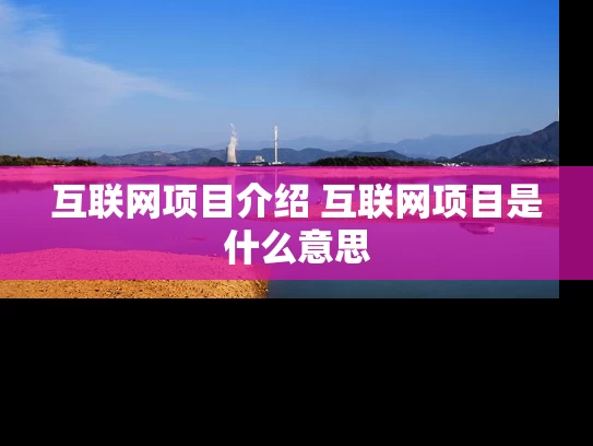 互联网项目介绍 互联网项目是什么意思
